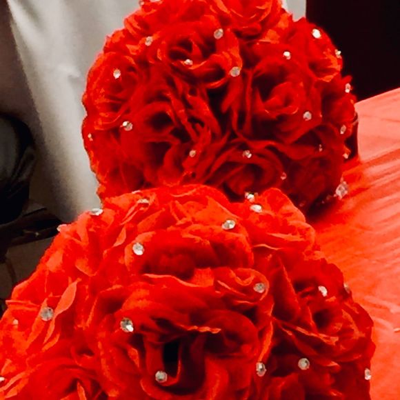 Meet your Posher, Elzie - Picture 1 of 1